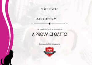 A prova di gatto - Pet Academy