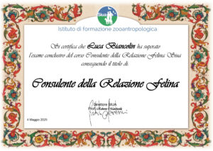 Consulente della relazione felina