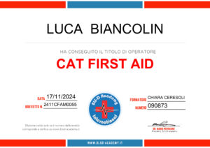 Cat First Aid
